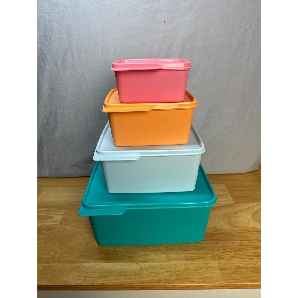 Tupperware Keep Tabs Container Set of 4